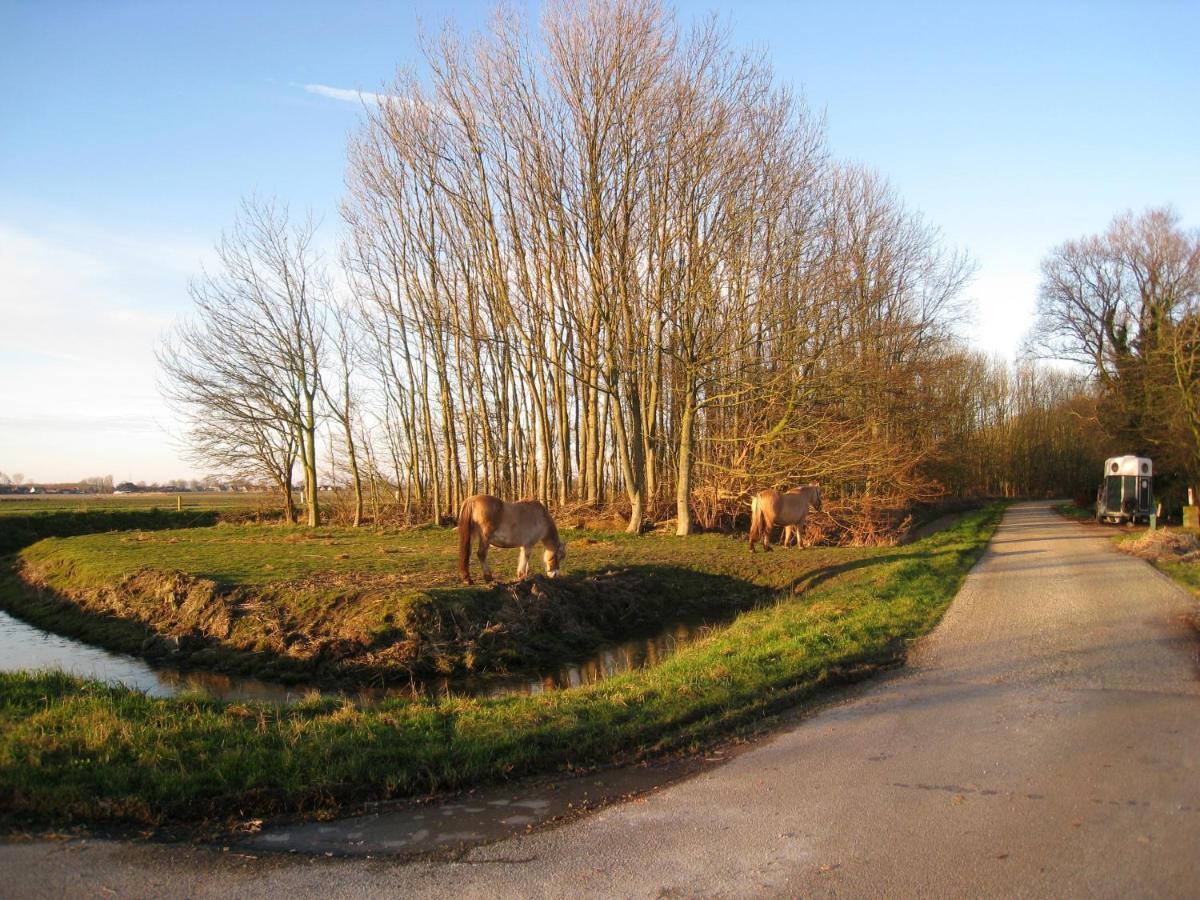 Haus Kormoran Am Lauwersmeer 175 Anjum Exteriör bild