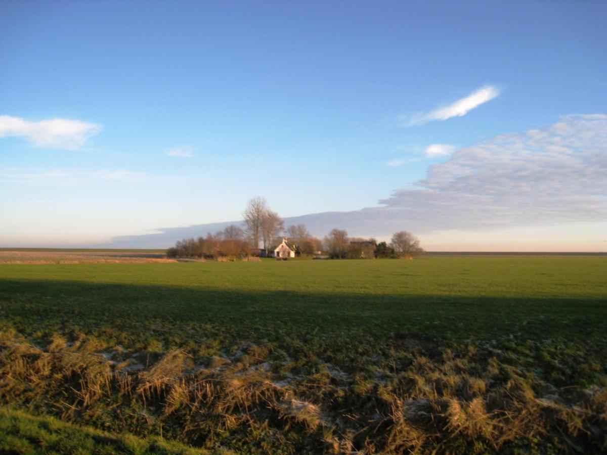 Haus Kormoran Am Lauwersmeer 175 Anjum Exteriör bild